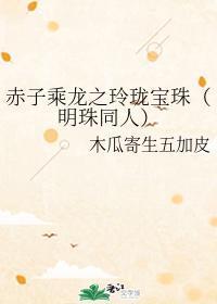 赤子乘龙之玲珑宝珠（明珠同人）封面