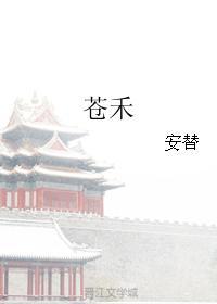 苍禾封面