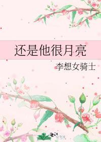 还是他很月亮封面
