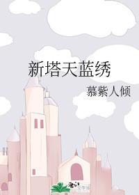 新塔天蓝绣封面