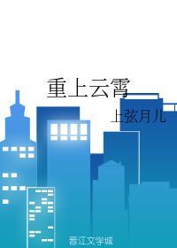 重上云霄封面