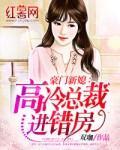 豪门新媳：高冷总裁进错房封面