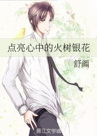 点亮心中的火树银花封面