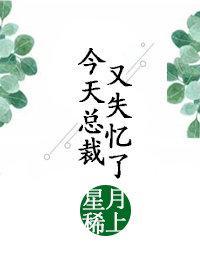 今天总裁又失忆了封面