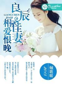 良辰佳妻,相爱恨晚封面