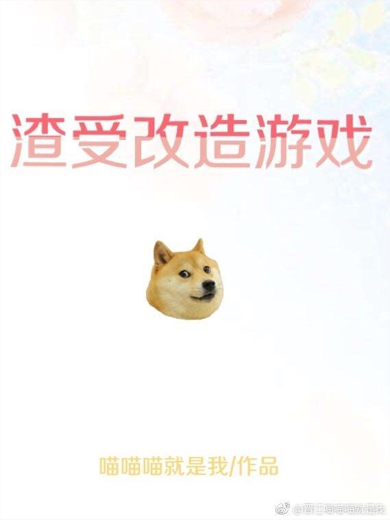 渣受改造游戏[快穿]封面