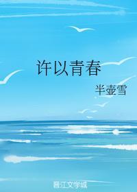 许以青春封面