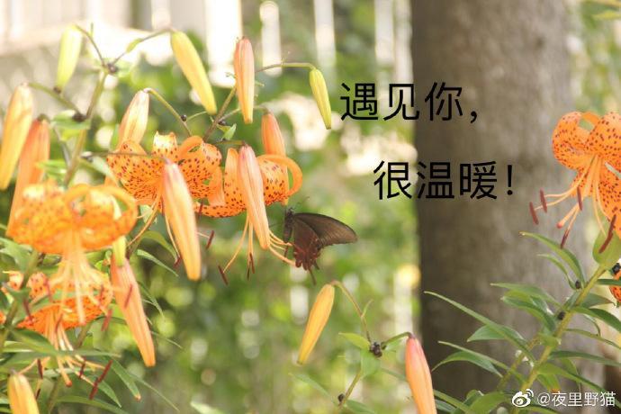 遇见你，很温暖封面