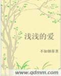 浅浅的爱封面