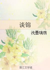 谈锦封面