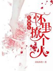 顾先生他每天都想要结婚封面