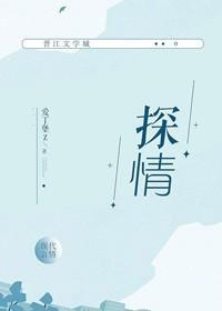 探情封面