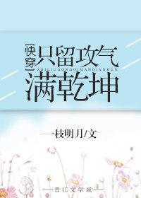 只留攻气满干坤[快穿]封面
