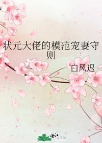 状元大佬的模范宠妻守则封面