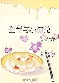 皇帝与小兔叽封面