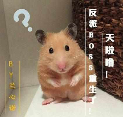 天啦噜!反派BOSS重生了!封面