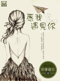 愿我遇见你封面
