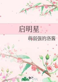 启明星封面