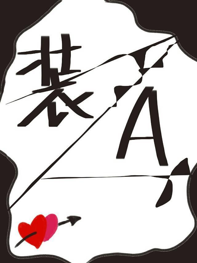 装A封面