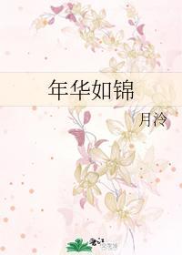 年华如锦封面