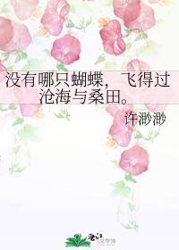 没有哪只蝴蝶,飞得过沧海与桑田。封面
