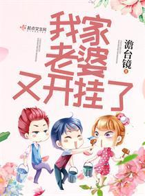 我家老婆又开挂了封面