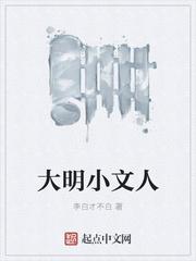大明小文人封面