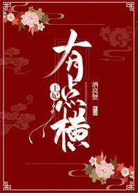 王妃有点横封面