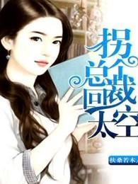拐个总裁回太空封面