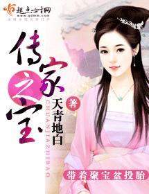 传家之宝封面