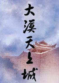 大漠天上城封面