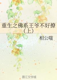 重生之佛系王爷不好撩(上)封面