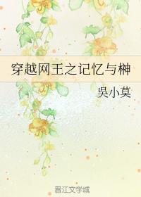 穿越网王之记忆与榊封面