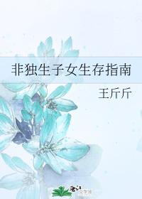 非独生子女生存指南封面