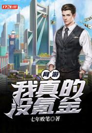 网游：我真的没氪金封面