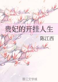 贵妃的开挂人生封面