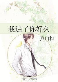 我追了你好久封面
