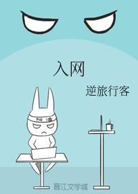 入网封面