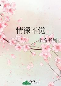 情深不觉封面