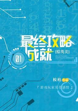 最终攻略成就封面