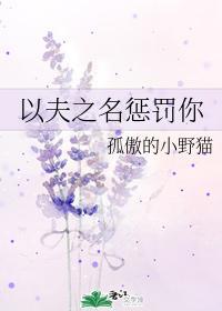 以夫之名惩罚你封面