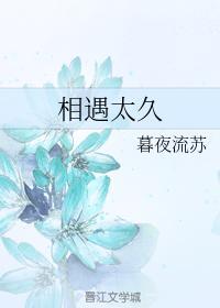 相遇太久封面