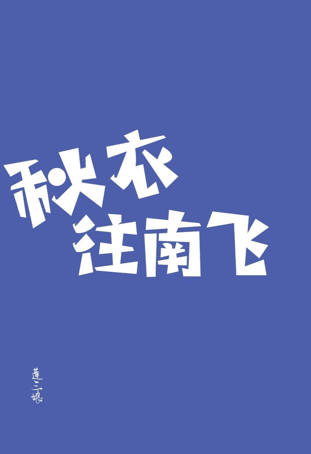 秋衣往南飞封面