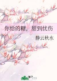 你给的糖,甜到忧伤封面