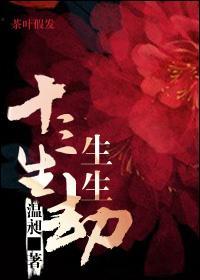 十三生,生生劫封面