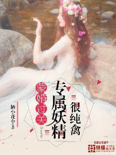 蒙婚过关:专属妖精很纯禽封面