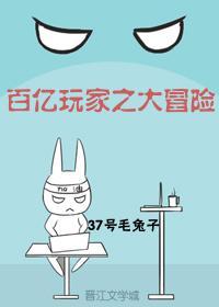 百亿玩家之大冒险封面
