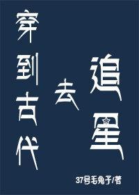 穿到古代去追星封面
