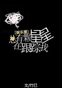总有颗星星在跟踪我封面