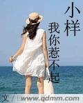 小样我你惹不起封面